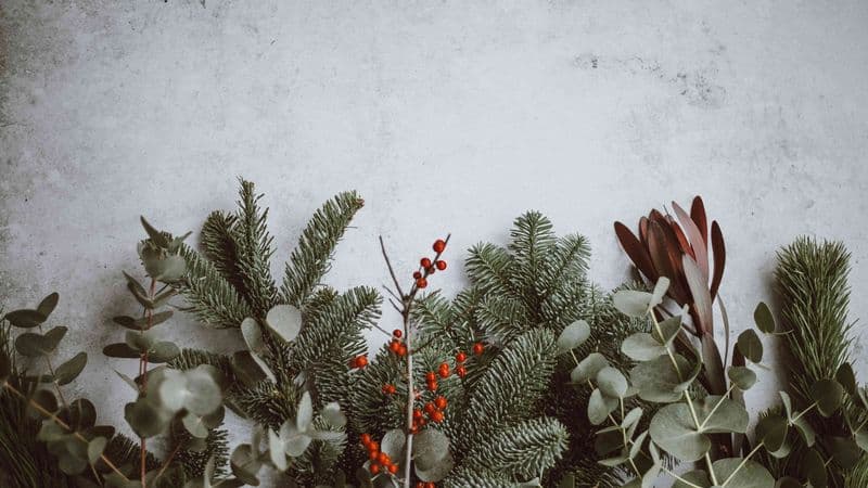 Tips on how to manage grief during the holiday season, from experts and other young adults that have lost a loved one.